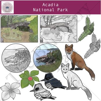 Illustrative collage of Acadia National Park featuring landscapes, wildlife (fox, kingfisher), plants, and rock formations.