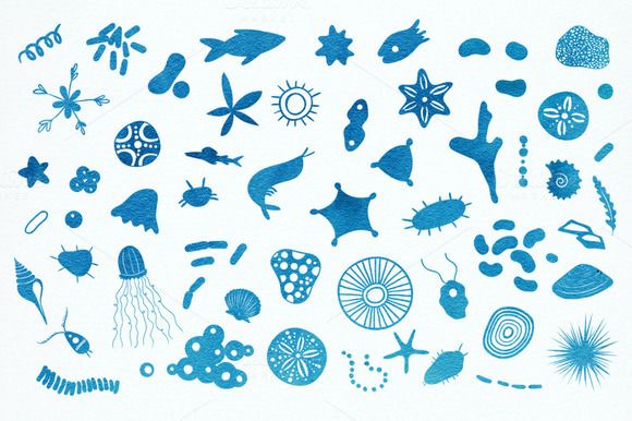 Ocean Planktons Clip Art Library