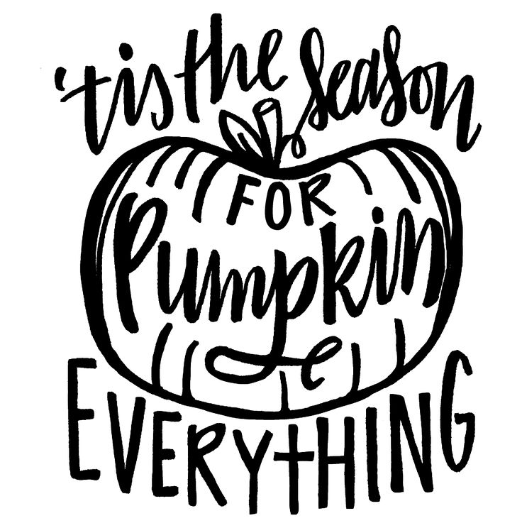 Handwritten phrase “’Tis the season for pumpkin everything” inside a sketched pumpkin outline.