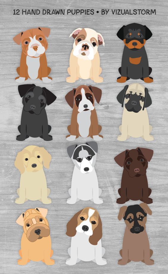 12 Hand-Drawn Puppies Illustration Collection by VisualStorm