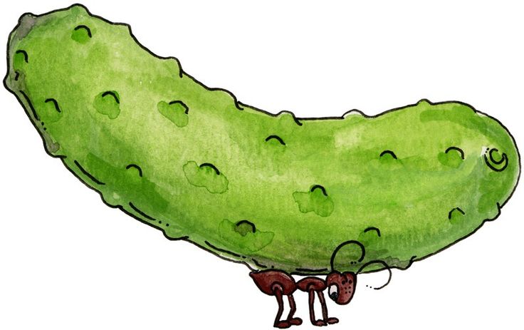 A cartoon ant struggling to carry a giant green pickle on its back.