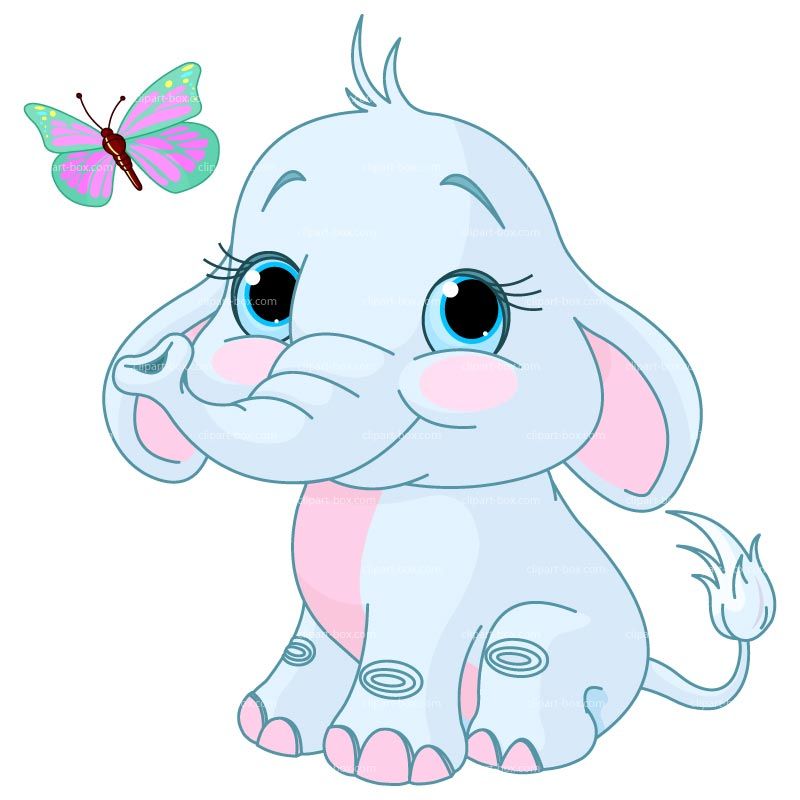Cute baby elephant with big blue eyes and pink inner ears, watching a colorful butterfly fly nearby.