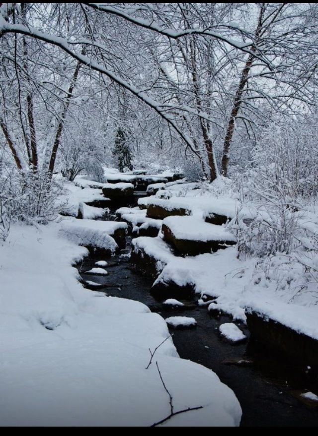 Snow-covered forest stream with icy rocks and bare trees under overcast winter sky.