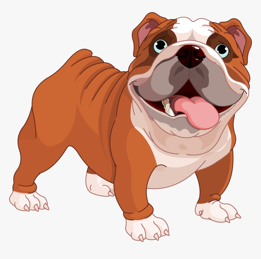 Cheerful brown and white bulldog with blue eyes, tongue out, standing playfully.