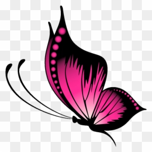 Pink and Black Butterfly Illustration - Free Transparent PNG Clipart