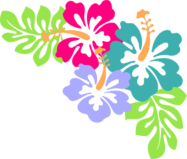 Vibrant tropical hibiscus flowers in pink, teal, and lavender with green monstera leaves on white background.