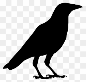 Black silhouette of a standing crow on transparent background