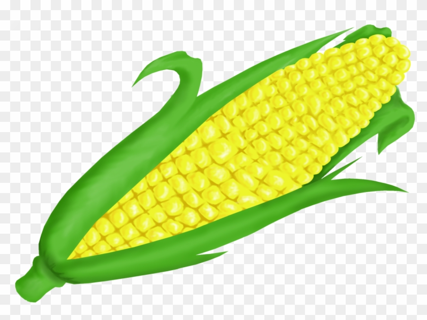 Fresh Corn on the Cob - Nutritious, Versatile & Delicious