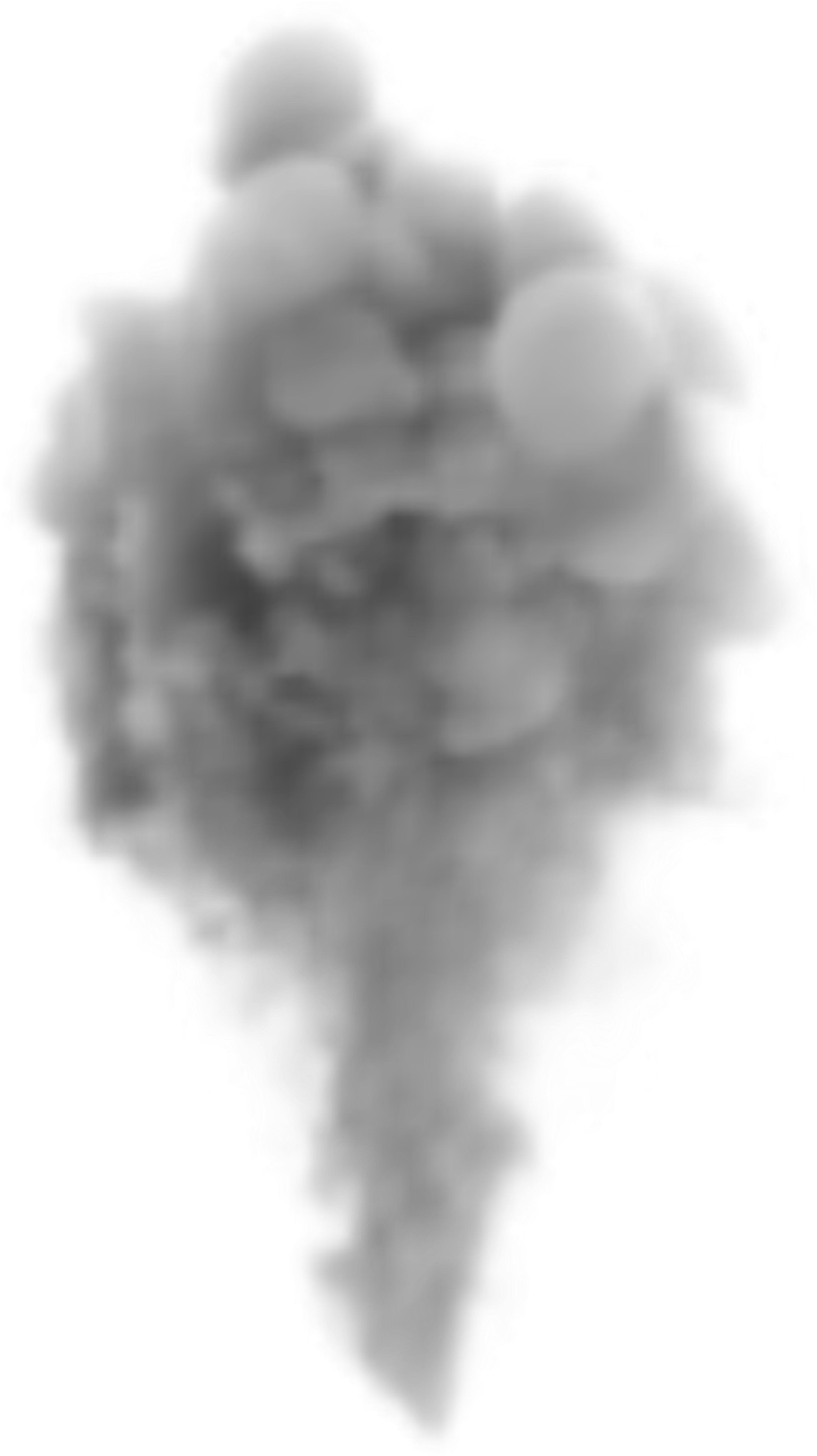 Grayscale 3D-rendered cloud formation with soft gradients and irregular edges on transparent background.