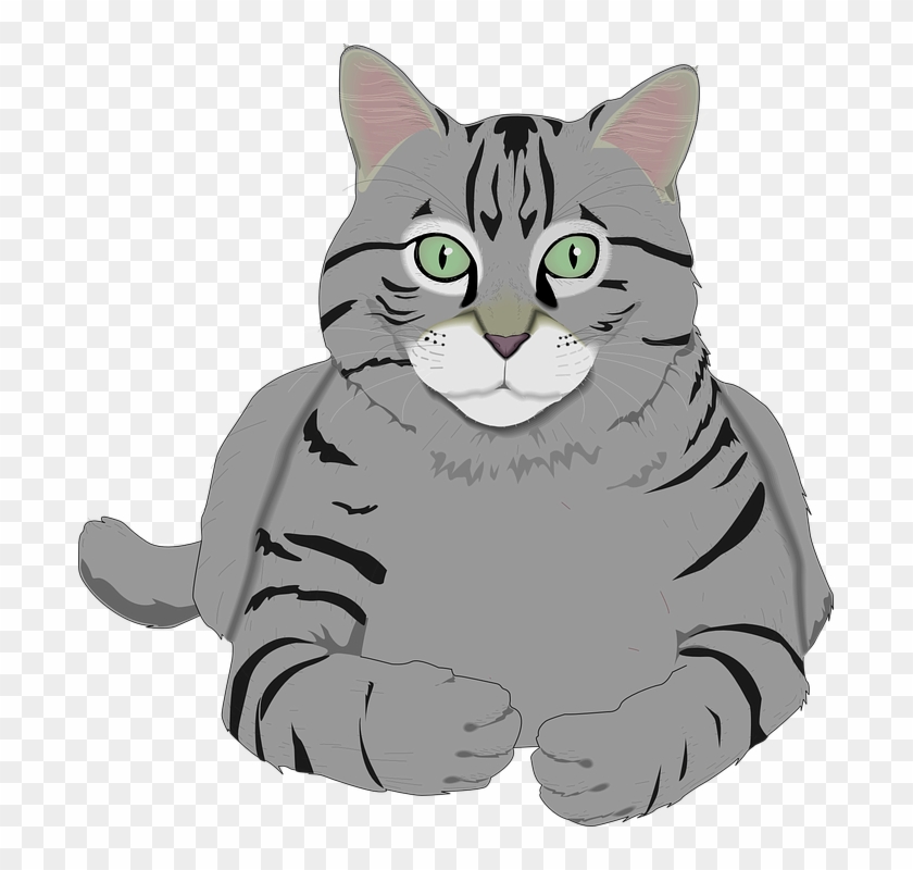 Cat Clip Art - Cat Images - Clip Art Library