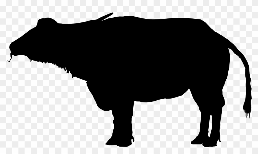 Black silhouette of a standing water buffalo with horns and tail, facing left on transparent background.
