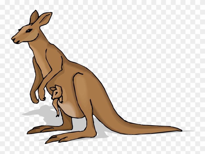 Kangaroo with Joey - Australian Marsupial Illustration