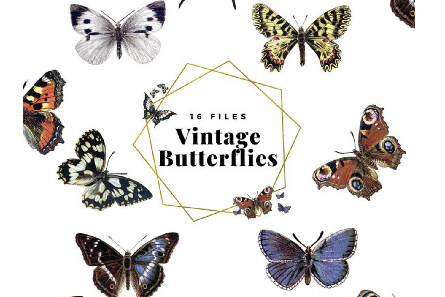 Beautiful butterfly free vintage clip art illustrations - Clipart ...