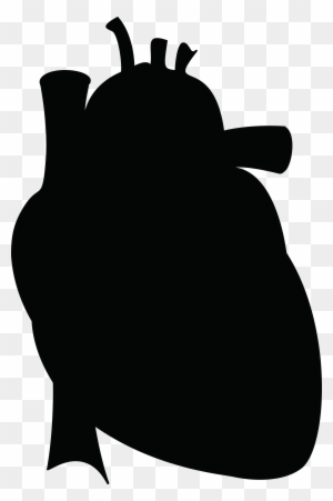 Black silhouette of a human heart with major vessels, isolated on transparent background.