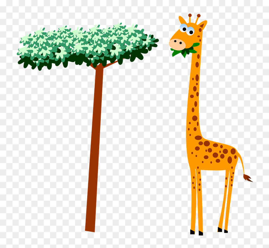 A cartoon giraffe eating leaves from a tall acacia-like tree on transparent background.