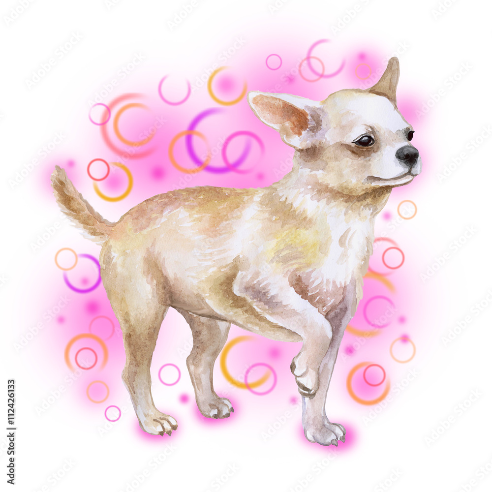 Watercolor illustration of a tan and white Chihuahua standing alert against a vibrant pink background with colorful rings.