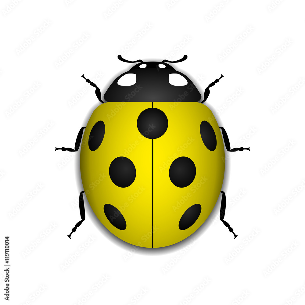 ladybug-clip-art-images-free-download-on-clipart-library-clip-art