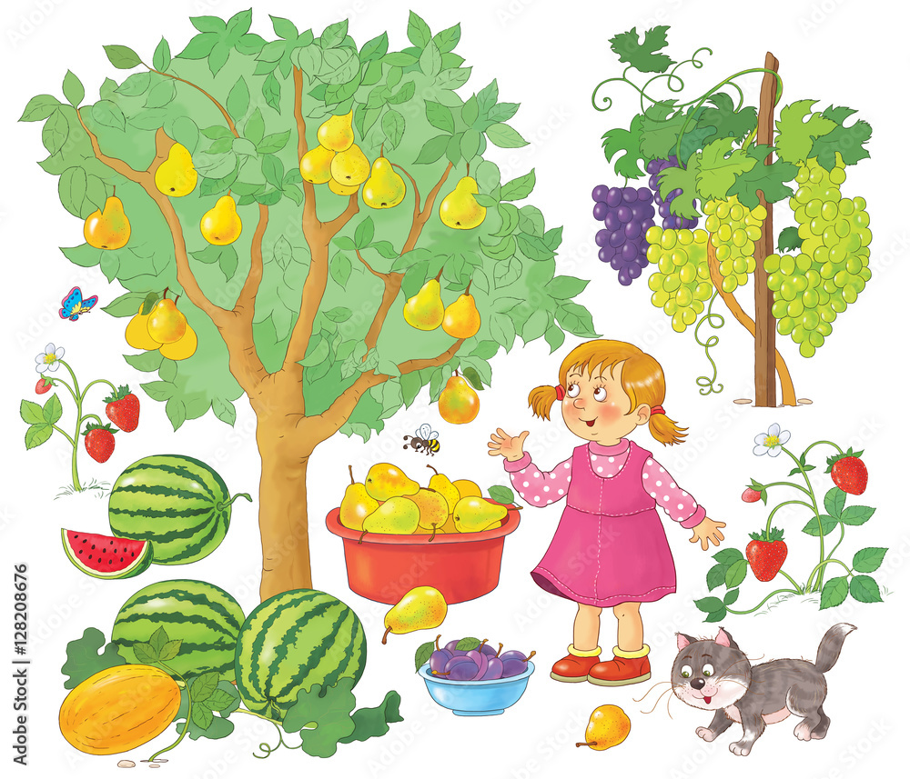 A cheerful girl in a pink dress gathers pears, grapes, strawberries, watermelons, and plums in a garden with a cat and butterfly.