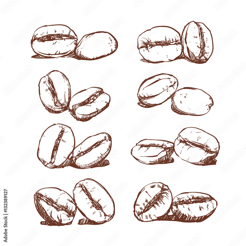 Hand-drawn sketch of eight pairs of coffee beans in various orientations and shading styles.