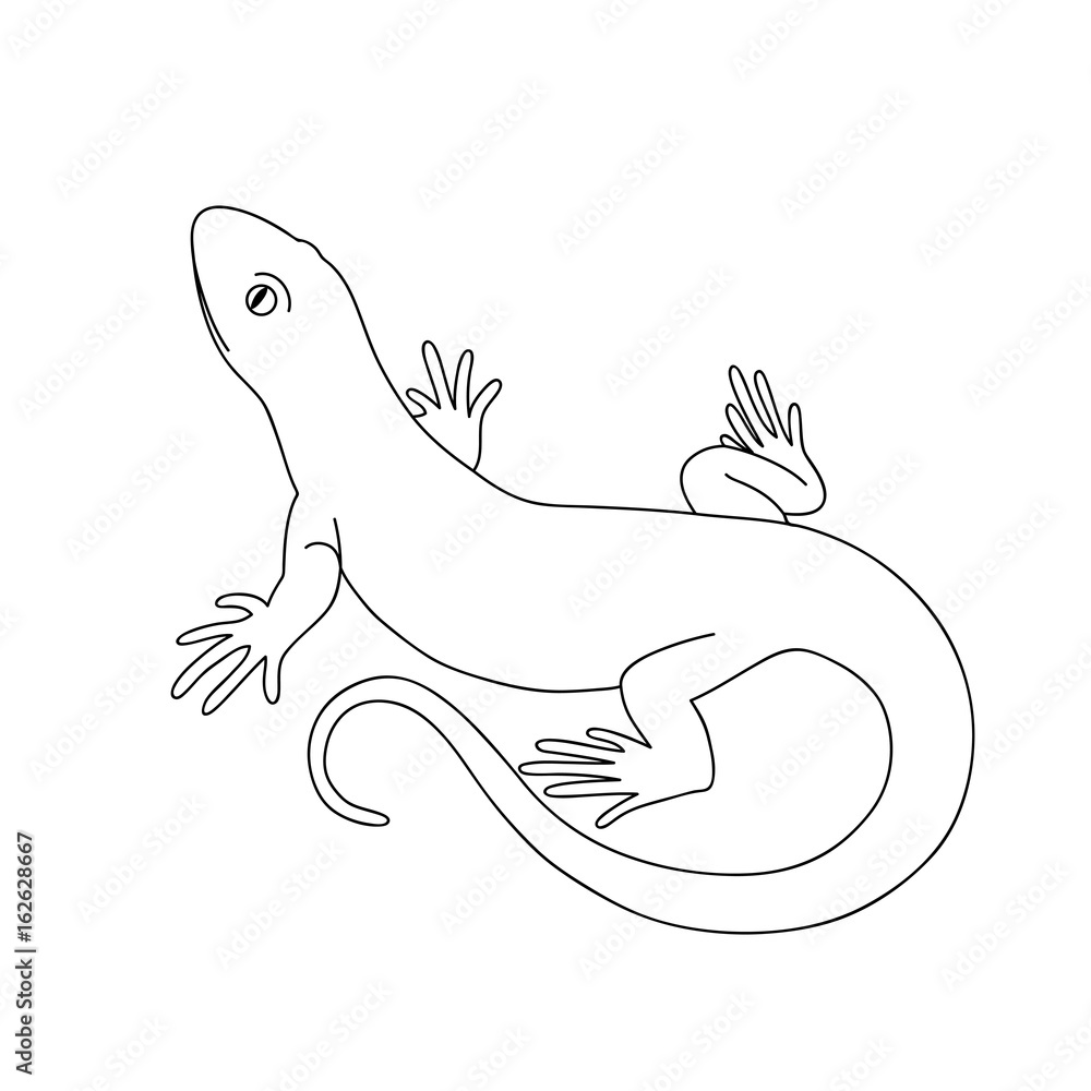Lizard Outline - Clipart Library - Clip Art Library
