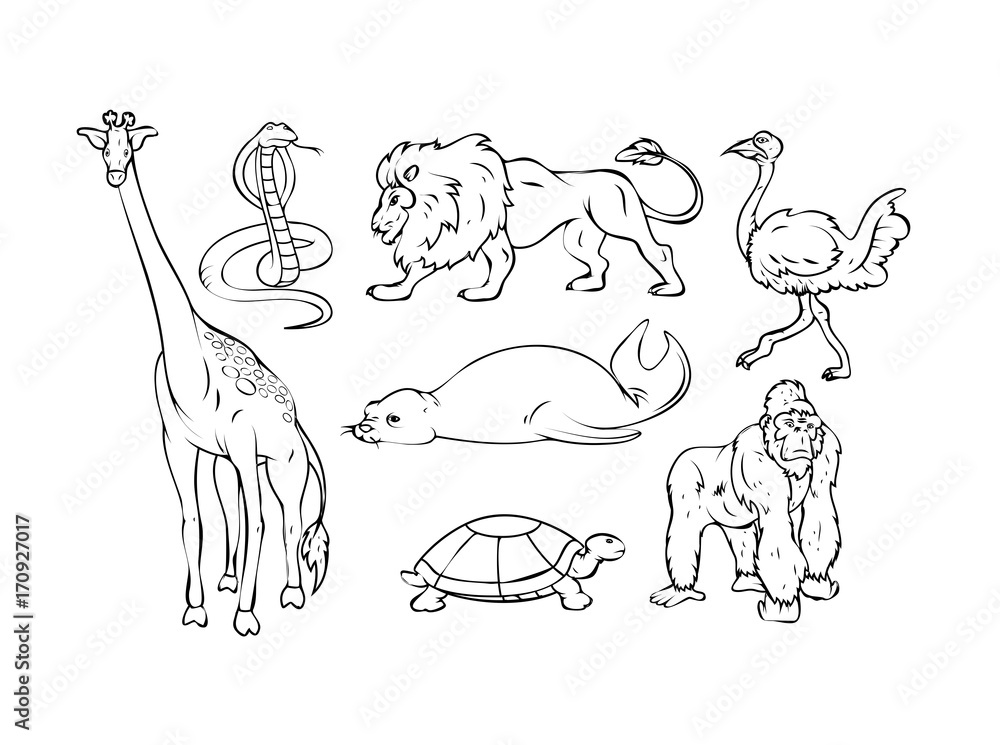 Black-and-white line art illustration of eight animals: giraffe, cobra, lion, ostrich, seal, tortoise, and gorilla.