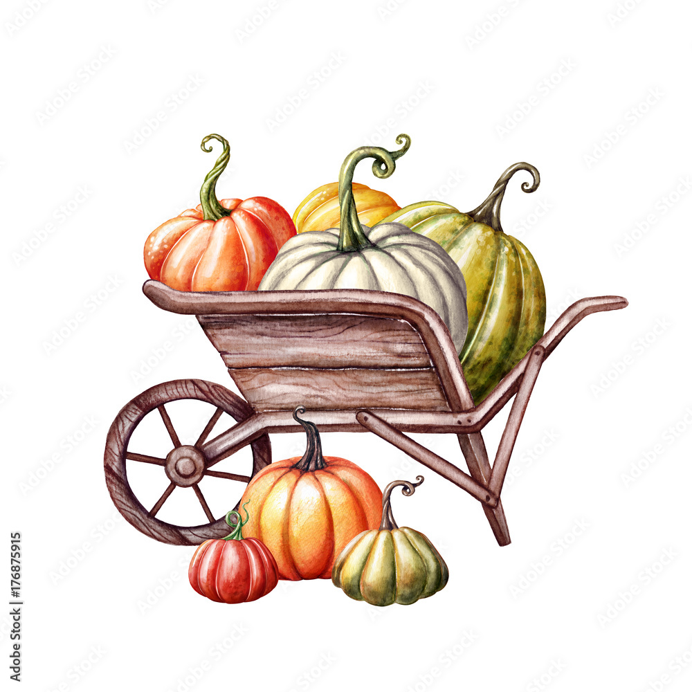 Fall Harvest Clipart - Set of 27 Vector, PNG, and JPG Files - Hand ...