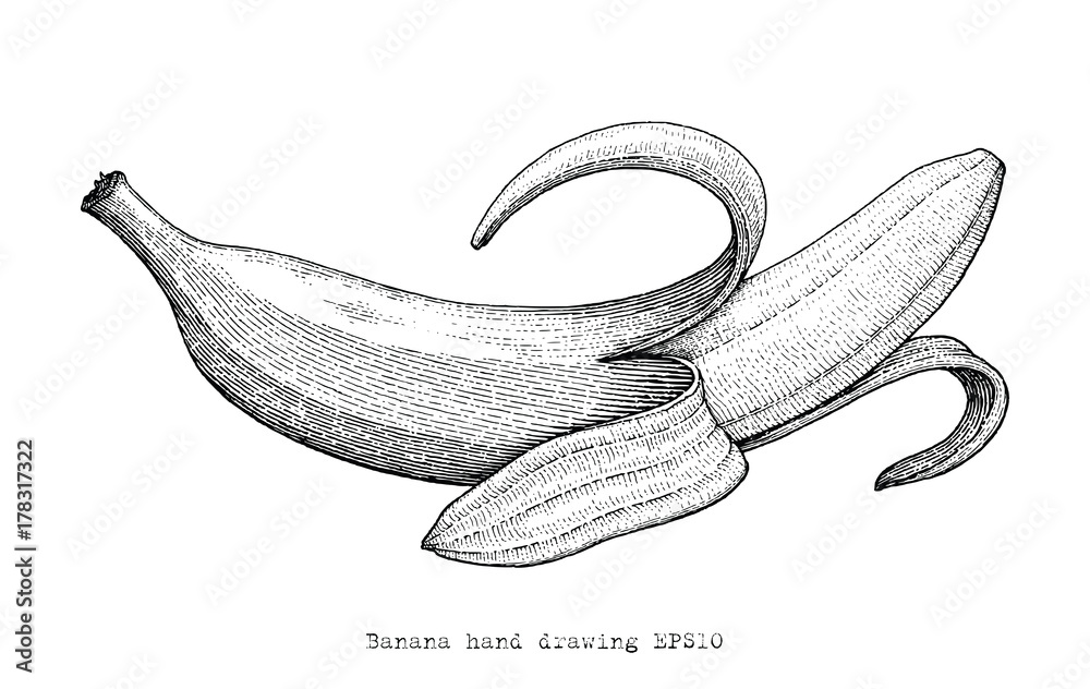 Vintage-Style Banana Illustration - Free EPS10 Vector Download