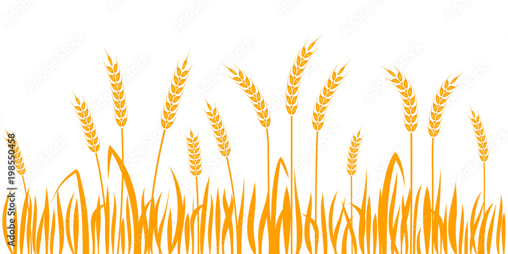 Golden Wheat Field Illustration - Harvest & Agriculture Design Element