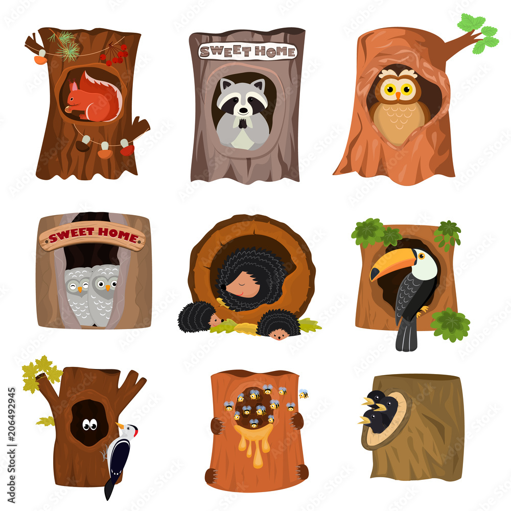 Nine cartoon forest animals in tree hollow homes: squirrel, raccoon, owl, hedgehogs, toucan, woodpecker, bees, and birds.
