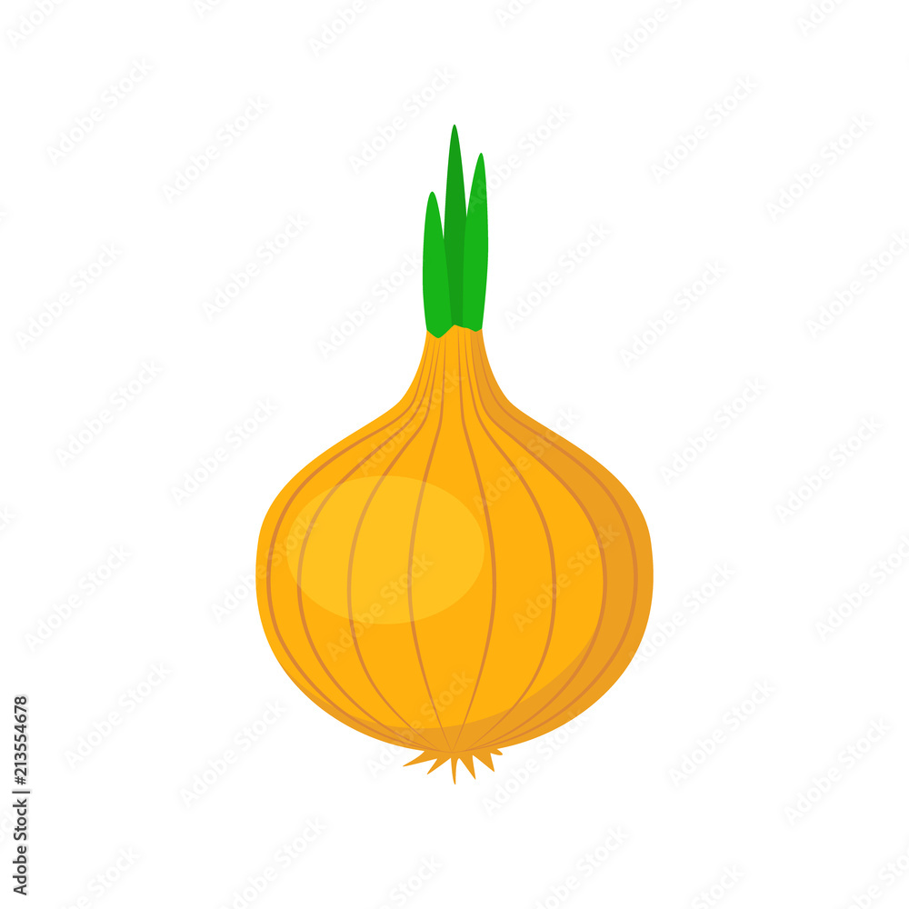 Onions Clip Art Library