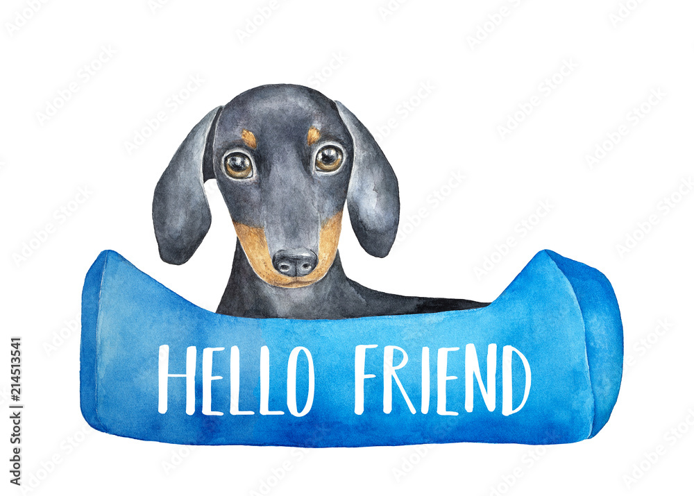 Watercolor illustration of a black-and-tan dachshund peeking over a blue bone-shaped sign that reads "HELLO FRIEND".