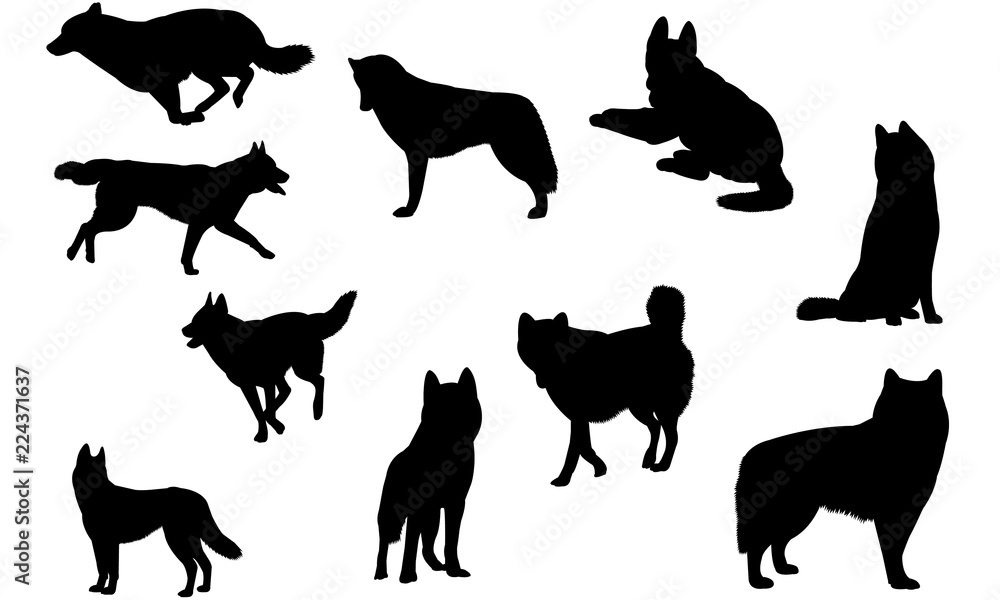 Collection of black wolf silhouettes in various dynamic poses on white background.