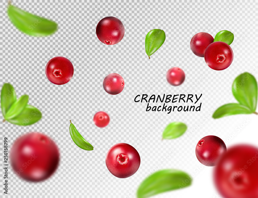 Fresh cranberries and green leaves scattered on transparent background with "CRANBERRY background" text.