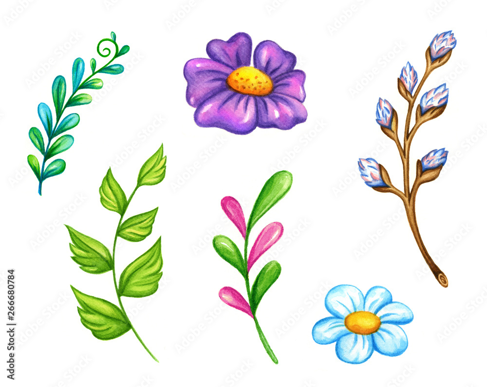 Watercolor illustration of purple and blue flowers with green leaves and budding stems on white background.