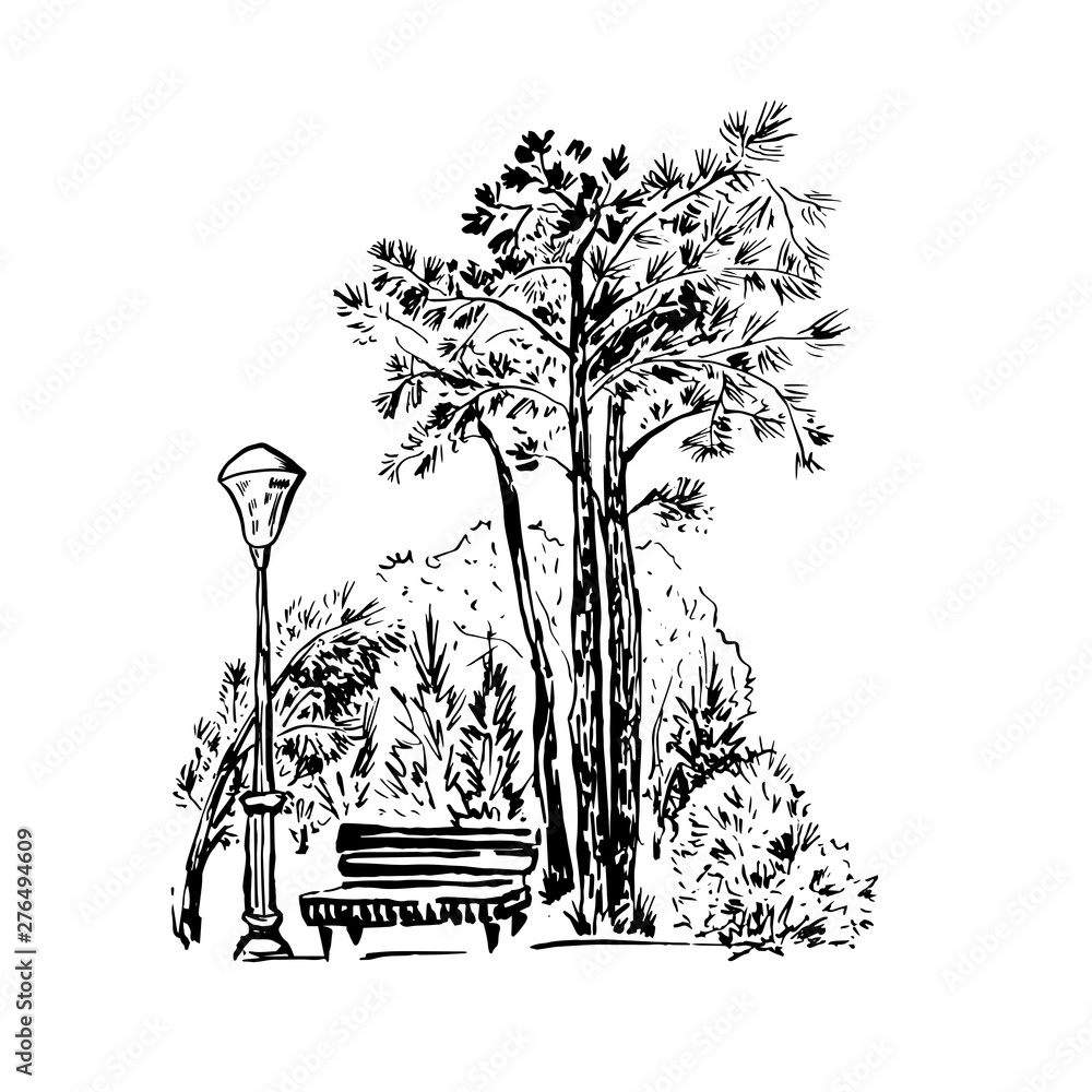 Black-and-white sketch of a park scene with pine trees, bench, and vintage lamppost.