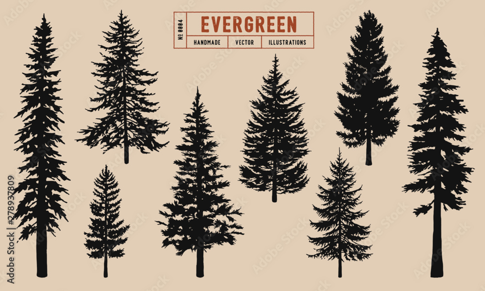 Trees Fir Evergreen Pine Clipart Silhouettes Eps Dxf Pdf Png - Clipart ...