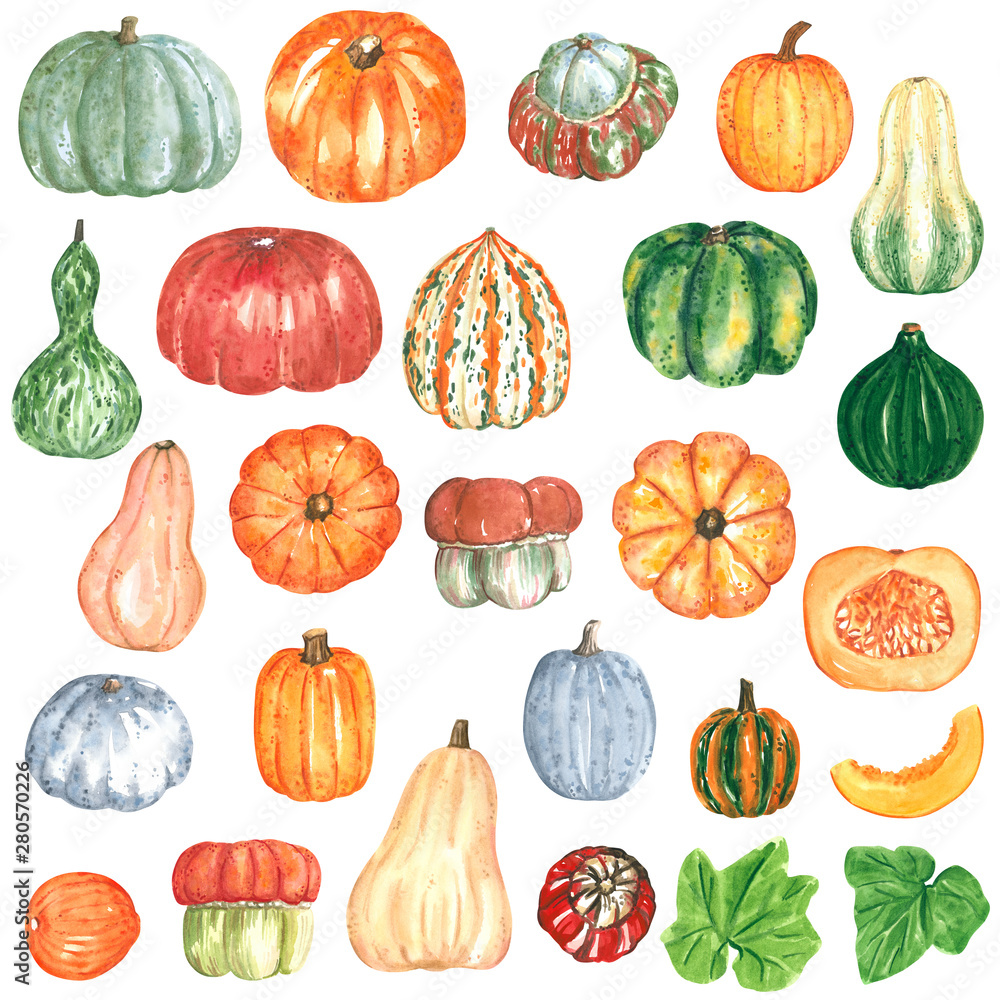 Squash Clipart Things - Squash Clipart - Free Transparent PNG - Clip ...