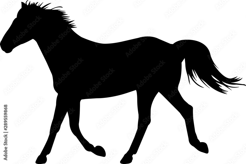 Horse Silhouette Vector Image - Free Download & Usage Guide