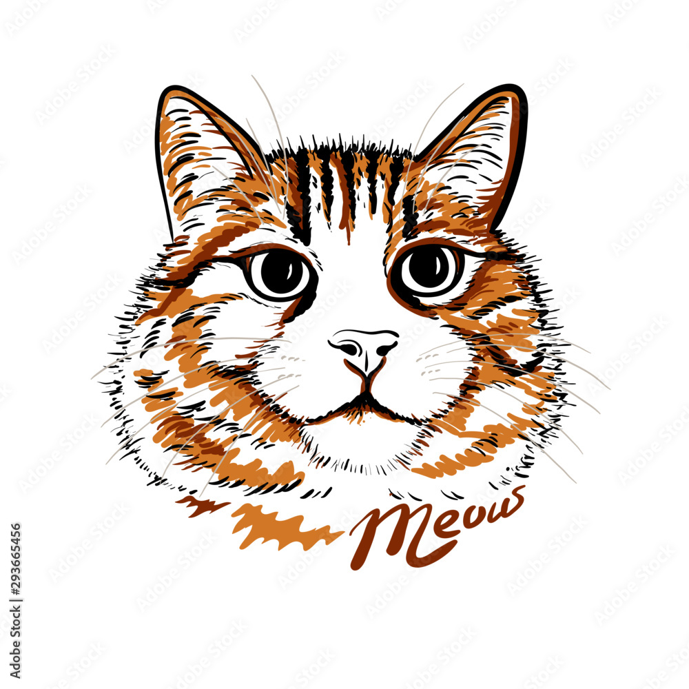 Siamese Cat Kitten Tabby Cat Clip Art - Vector Painting Cat - Free ...