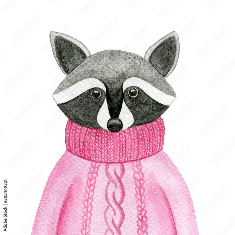Cute Watercolor Raccoon in Pink Sweater - Illustration for Greeting Cards & Prints