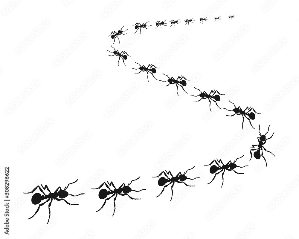 marching ant clip art - Clip Art Library - Clip Art Library