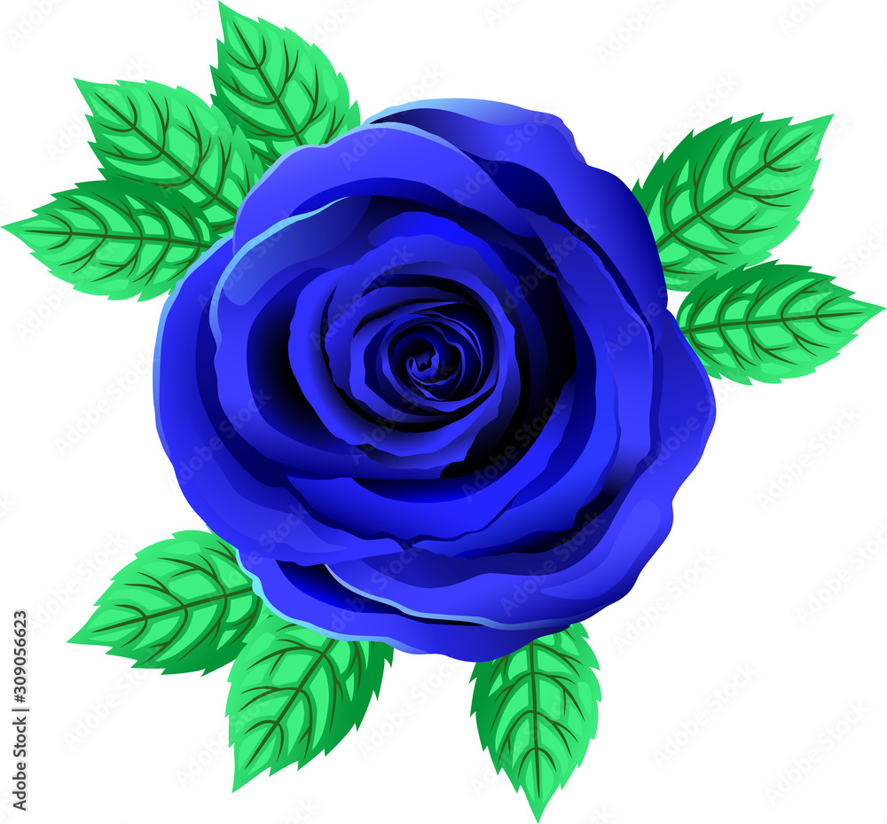 Blue Rose Clip Art At Vector Clip Art Online Royalty