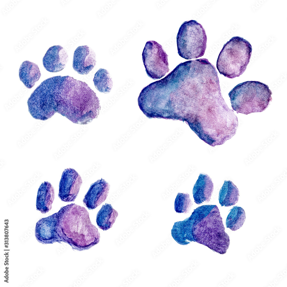 Four watercolor-style animal paw prints in purple and blue hues on white background.