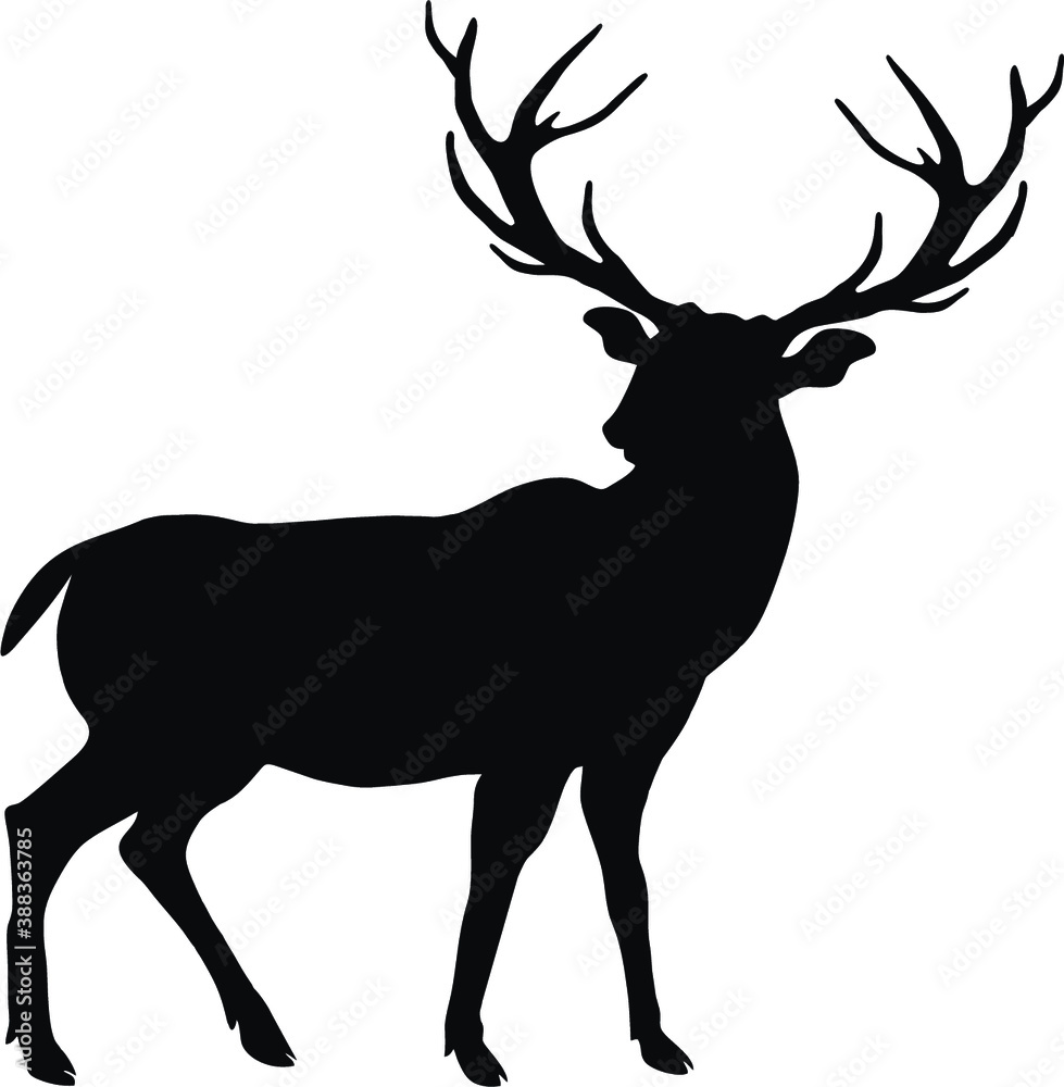Stag Silhouette Vector Image - Free Download & Usage Guide