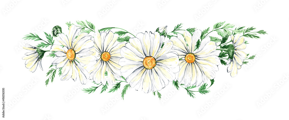 Watercolor illustration of white daisies with yellow centers and green foliage arranged in a horizontal floral border.