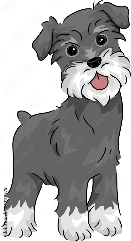 Schnauzer Isolated Royalty Free Svg Cliparts Vectors And Stock Clip Art Library