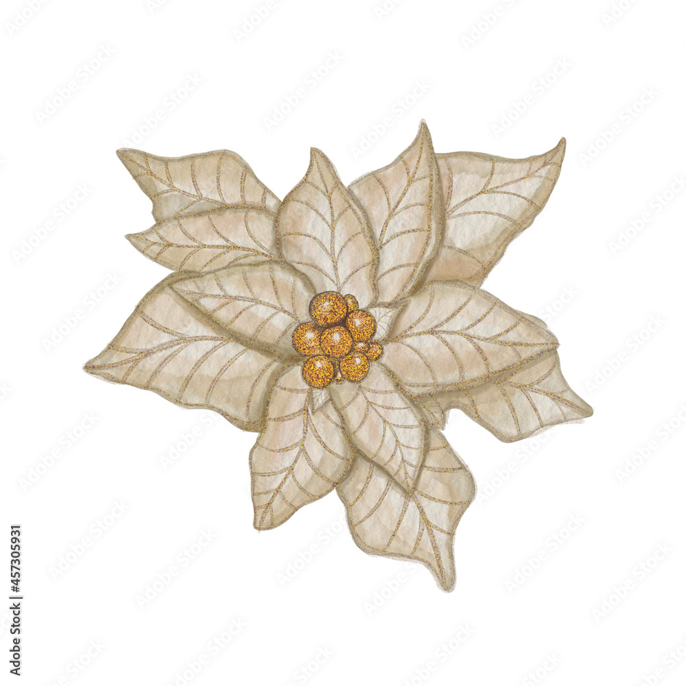 Elegant Beige Poinsettia Illustration - Watercolor Holiday Botanical Art