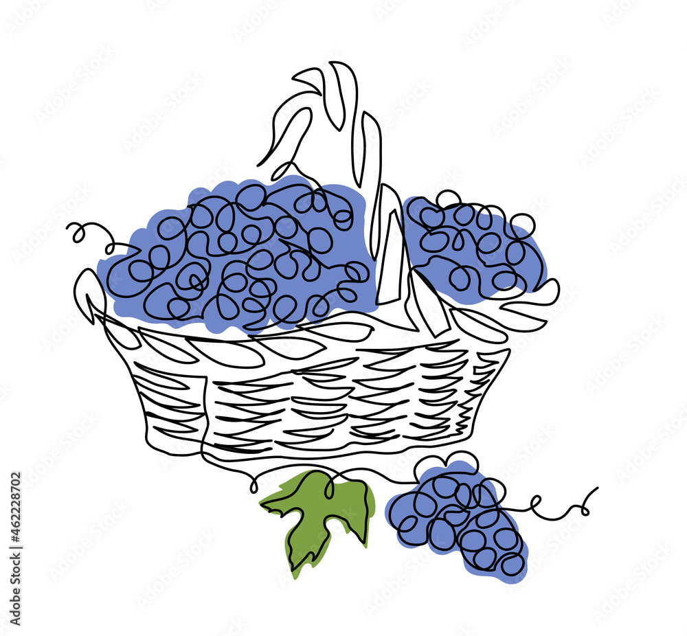 Hand-drawn illustration of a wicker basket overflowing with blue grapes, vine leaves, and loose clusters.