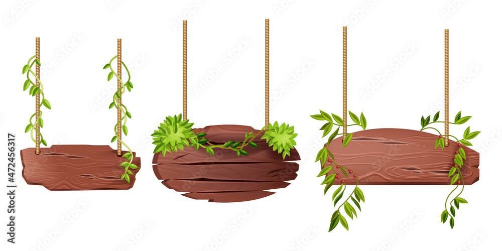 Three rustic wooden signboards with rope hangers and decorative green vines and berries, isolated on white background.