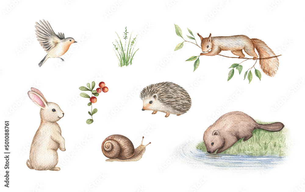 Watercolor illustration of forest animals and plants: rabbit, squirrel, hedgehog, snail, beaver, bird, berries, grass, and leaves.